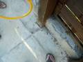 killing flys with an electric fly swatter.