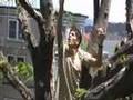 Henry IV Square - Part 2