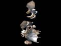 Hive Spore Creature Creator Video Hiven