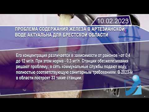 Новостная лента Телеканала Интекс 10.02.23.