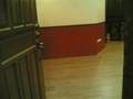 JJT DESIGN TRADING - SPECIALIZED IN LAMINATED WOOD FLOORING