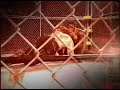 LAW TV Intro - Extended Version