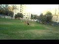 back handspirng to backfull 360 -- round off to back handspring to backfull 360