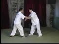 VCD - Guide to Yiquan cd 3b