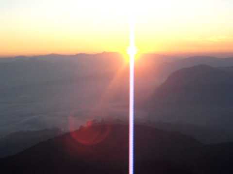 SUNRISE ADAMS