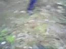 LBM_staff_Jackass_2006_LP_xD