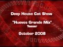 1. david davidson - farmer's hand intro (celtic fantasy album version) (intro)
2. sinai - real love (terrence parker instrumental mix)
3. tafubar - thagroover (lemongrass funky housenite mix)
4. toki fuko - blessedness (original mix)
5. mr. jones - the bong song (welcome to deep mix)
6. apologist - revolution (original mix)
7. the diogenes club - cdpt
8. ryralio djs feat. nica brooke - dance out loud (nacho marco dub remix)
9. slam dj - astral journey
10. schwarz & funk - magnetic vibration (gee funk mix)
11. east st. louis players - always on my mind (stripped back version)