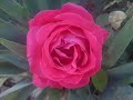 Silence Retreat Brahma Kumaris