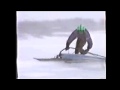 Snowfer Laydown Jibe - 01-19
