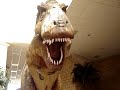 Dinosaurios en torreon