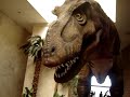 Dinosaurios en torreon
