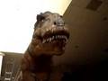 Dinosaurios en torreon