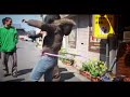 デルタ・ド・キャバレー『黒猫夜想曲』PV