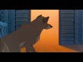 a balto tribute boulevard of broken songs a balto tribute boulevard of broken songs