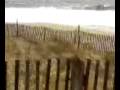 Rehoboth-Beach