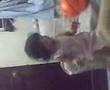 shaneen liz2