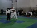 Kumgang pelea cristian codon 2008