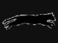 videos de Leafpool and Crowfeather - Sad Breakup