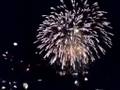 東京競馬場動画19