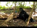 Jack Links Beef Jerky-Messin with Sasquatch