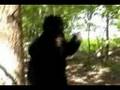 Jack Links Beef Jerky-Messin with Sasquatch