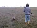 Ver vídeo
