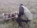 Ver vídeo