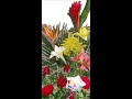 Pequeña Flor