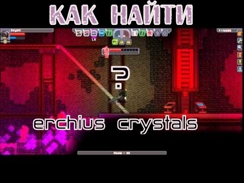 STORE COMMUNITY ABOUT SUPPORT