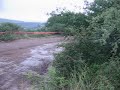 galli a fondo en el barro