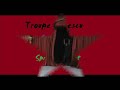 Troupe Oprescu Springboard Act