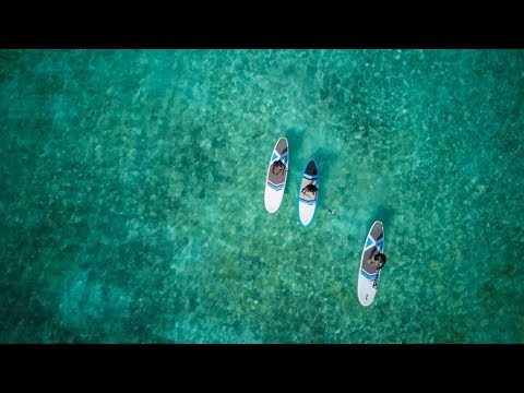 Stand Up for Our Seas 2019