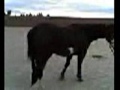MEMORIES OF MY BELOVED JACK