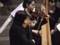terg antiqua in concerto