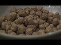 EL COCINERO FIEL #341 GARBANZOS SALTEADOS CON CHORIZO (CURADO)