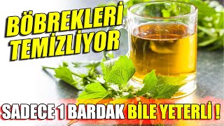 Günde 1 Bardak İçtiğinizde Böbreklerinizi Ter