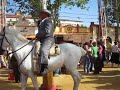 La Feria del Caballo, Jerez de la Frontera 2007 La Feria del Caballo, Jerez de la Frontera 2007