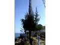Incando los Pilotes en la playa