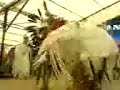 danses indienne a plaine de walsch3