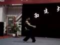 Hua's nunchakus (wushu form)