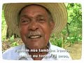 Desde Cuba Hasta Pernambuco