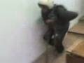 videos de Peti, A pilóta. 3.rész. Az Öregkor