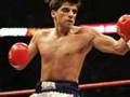 Baha Laham Video/Picture boxing animation