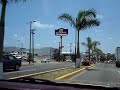 Ave Hidalgo Tampico 2