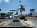 Ave Hidalgo Tampico 2