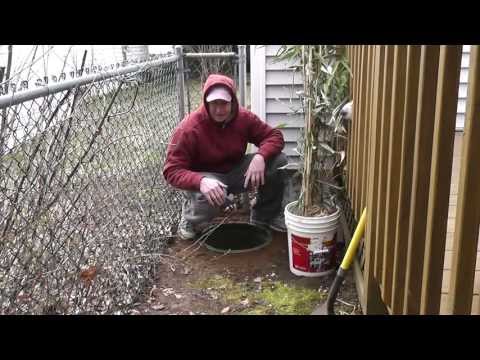how to dig up bamboo to transplant