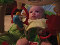 audrey is enjoying her rain forest bouncer.