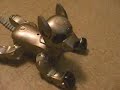 i-cybie dances i-cybie dances