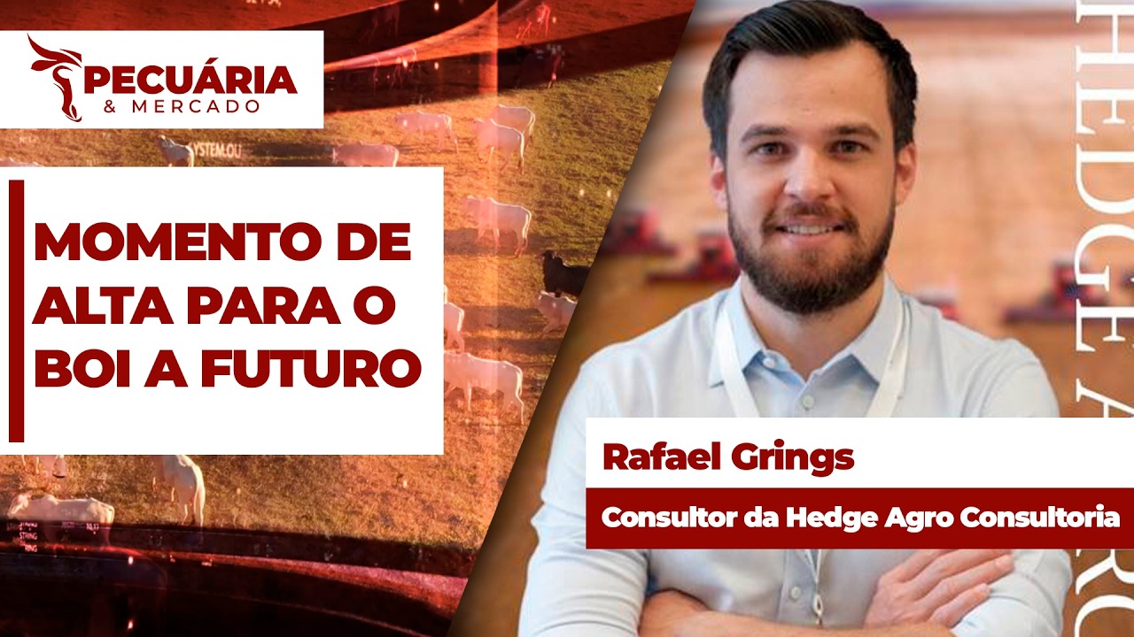 Movimento de compra resulta em alta para a @ do boi gordo no mercado futuro