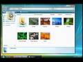 Curso Windows Vista: Trabajo con archivos y carpetas (6/11)